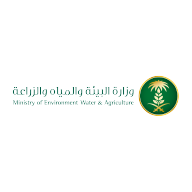 لوجوز-وان-25